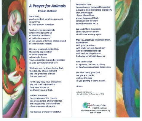 Prayer for Animals
