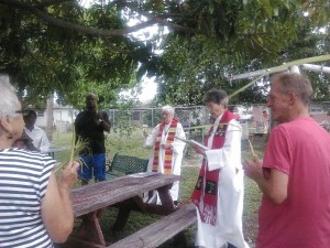 IMG_20140413_141720palmsun